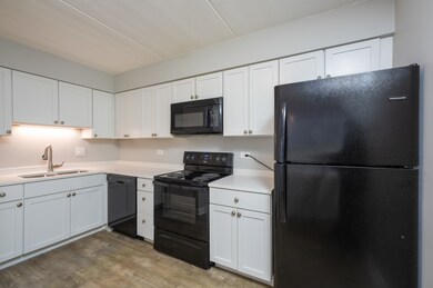 484 N Addison Ave unit 101E, Elmhurst, IL 60126 - photo 6