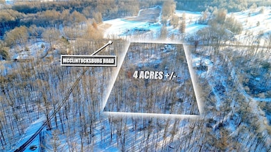 0 McClintocksburg Rd unit 5176449, Diamond, OH 44412 - photo 4