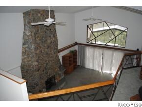 Wood Burning Fireplace
