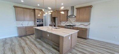 5205 Lake Siena Dr, Wimauma, FL 33598 - photo 2