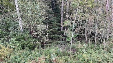 0 US Route 3 unit 4971718, North Stratford, NH 03590 - photo 7