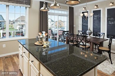 43006 Paris Gap Square, Ashburn, VA 20148 - photo 4