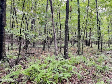 20230815000039727591000000-o