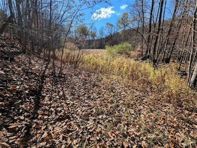 0 County Road 126, Greenwood, NY 14839 - photo 2