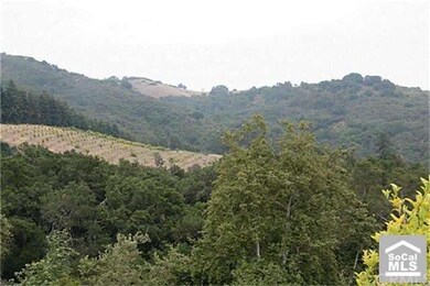 VIEW FROM TORO CANYON ROAD
