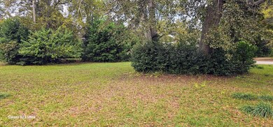 209 Pine St S, Bluffton, GA 39824 - photo 6