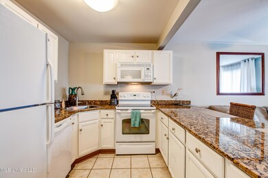 Unit 169-Kitchen 2