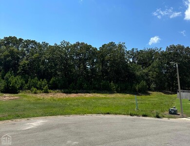 3911 Wigeon Cove, Jonesboro, AR 72404 - photo 4