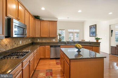 42229 Palm Cove Ct, Chantilly, VA 20152 - photo 7