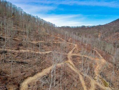 0 Simms Fork Rd, Cane River, NC 28714 - photo 7