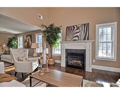 60 Harding St unit 3, Medfield, MA 02052 - photo 3