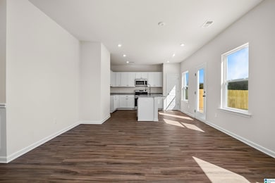 608 Pine Valley Trail, Columbiana, AL 35051 - photo 6