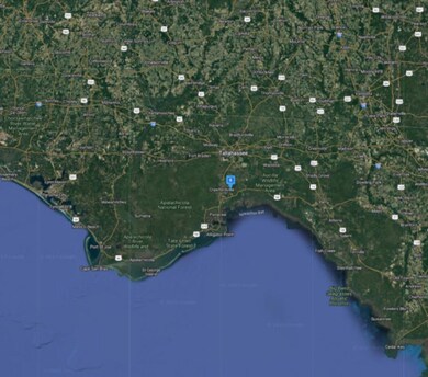 0 Chicopee Rd unit 365262, Crawfordville, FL 32327 - photo 5