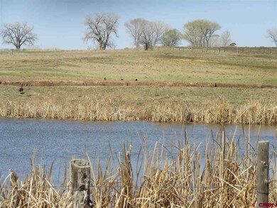 TBD Road L (114 26 Ac), Cortez, CO 81321 - photo 5