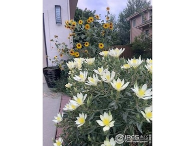 1111 Utica Cir, Boulder, CO 80304 - photo 2