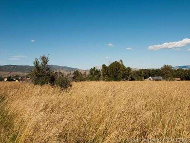 Land/Lot.