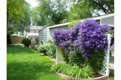 Yard/Garden.