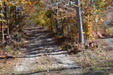 28.30ac Whitson Hollow Rd, Red Boiling Springs, TN 37150 - photo 7