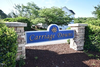 Carriage Downs