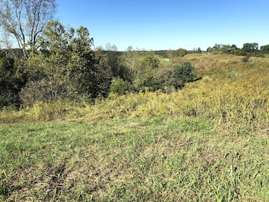 5 s Chowning Ln, Bloomfield, KY 40008 - photo 4