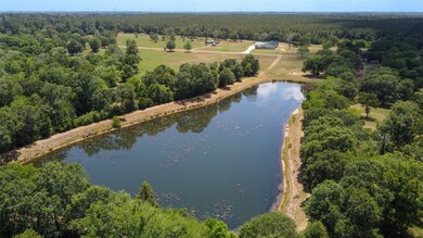 26091 Pine Shadows Dr, Hockley, TX 77447 - photo 5