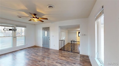 519 Ward St, Greenville, IL 62246 - photo 4