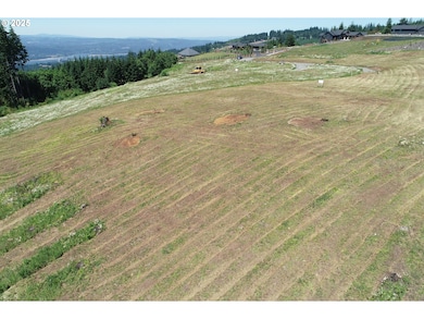 149 Resort Ln unit 1, Kalama, WA 98625 - photo 4