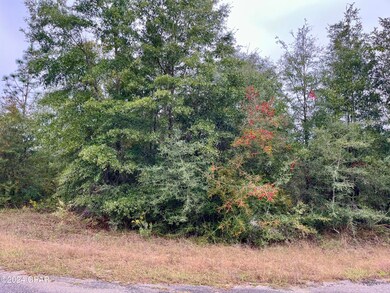 Lot 21 Vicki Ct, Chipley, FL 32428 - photo 4