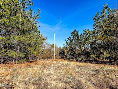 0000 Jesse Smith Rd, Laurel Hill, NC 28351 - photo 7