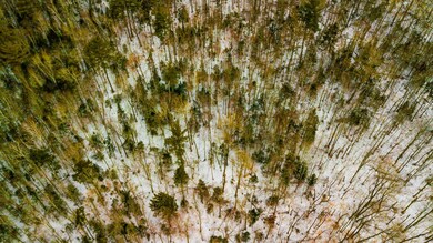 0000 Northey Hill Rd unit Lot 8B - 110.7 acres, Lisbon, NH 03585 - photo 4