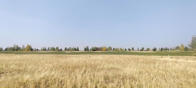 IMG_20201007_144938