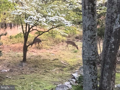0 Wren Ln unit WVJF2003516, Harpers Ferry, WV 25425 - photo 5