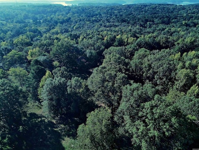 TBD Scottish Trail, Bismarck, AR 71929 - photo 3