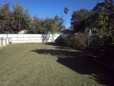 Meseto Backyard