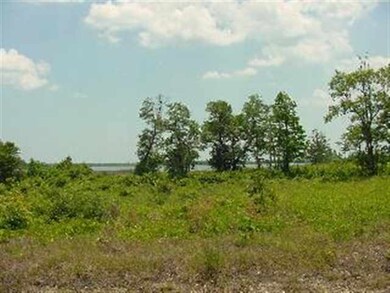 205 Royal Palms Way, Holly Ridge, NC 28445 - photo 5