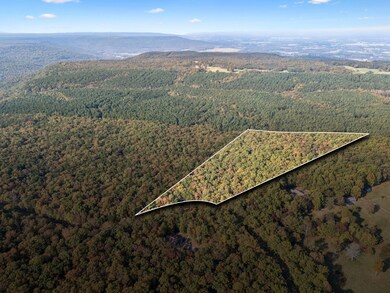 0 Timberwood Trace unit RTC2775759, Monteagle, TN 37356 - photo 4