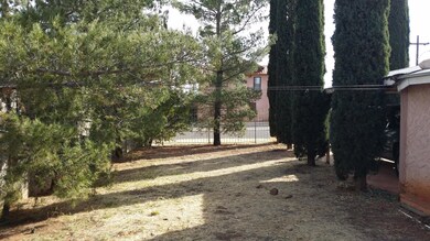 Side Yard (2)