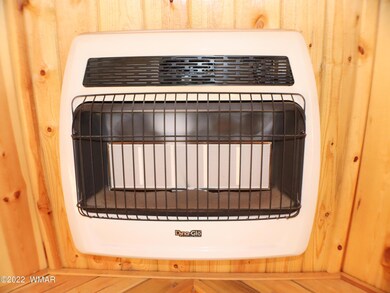 Gas Wall Heater