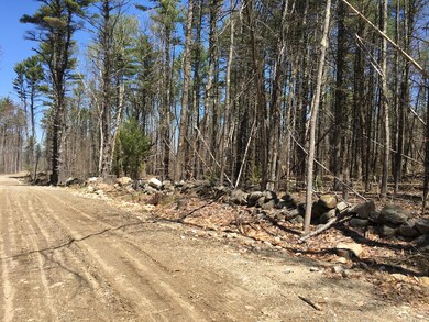 46acres Acton Ridge Rd, Acton, ME 04001 - photo 7