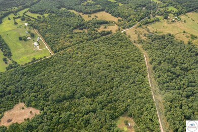 000 Luetjen Ave, Cole Camp, MO 65325 - photo 3