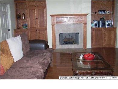 Gas Fireplace Built-in Book Shelves & Cabinets for