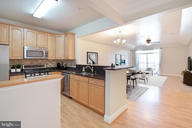 8616 Wintergreen Ct unit 308, Odenton, MD 21113 - photo 7