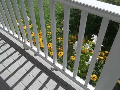 Patio/Deck.