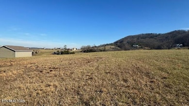 looking east