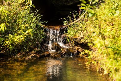 136 Genson Rd, Lawrenceburg, TN 38464 - photo 4