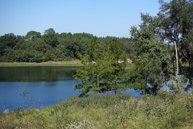 0 Malauka Loop unit MFROM664646, Ocklawaha, FL 32179 - photo 6