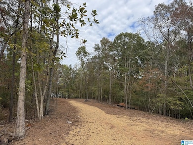 0 Dancing Waters Way, Wedowee, AL 36278 - photo 6