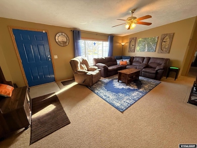 71 27th St, Wheatland, WY 82201 - photo 3