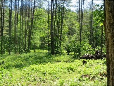 TBD Spruce, Ludlow, VT 05149 - photo 6