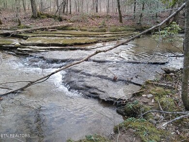 Copperhead Rd pic 7